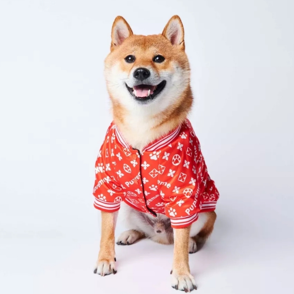 Supreme Style Dog Jacket